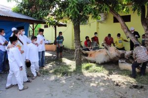 FB_IMG_1626774474287