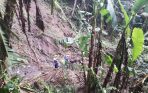 Bencana Tanah Longsor di Bali, Dua Orang Meninggal dan Satu Lagi Masih Dicari