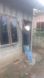 IMG-20221212-WA0029