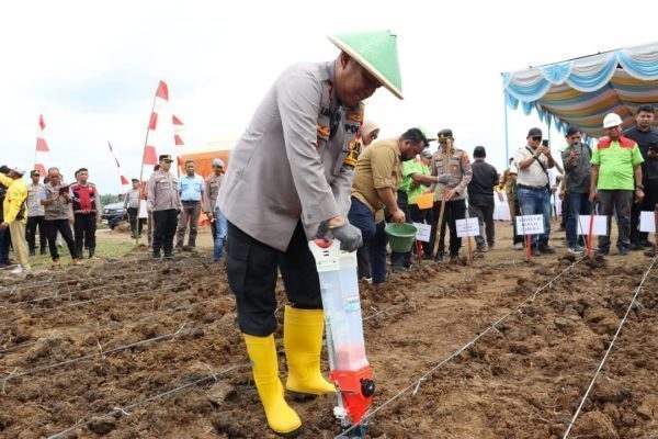 FB_IMG_1737468335017