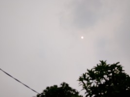 IMG-20261014-WA0044